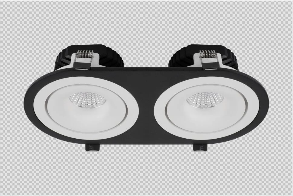 Double Heads Customized 24W 40W Dali Dimmable 3000K LED Down Light