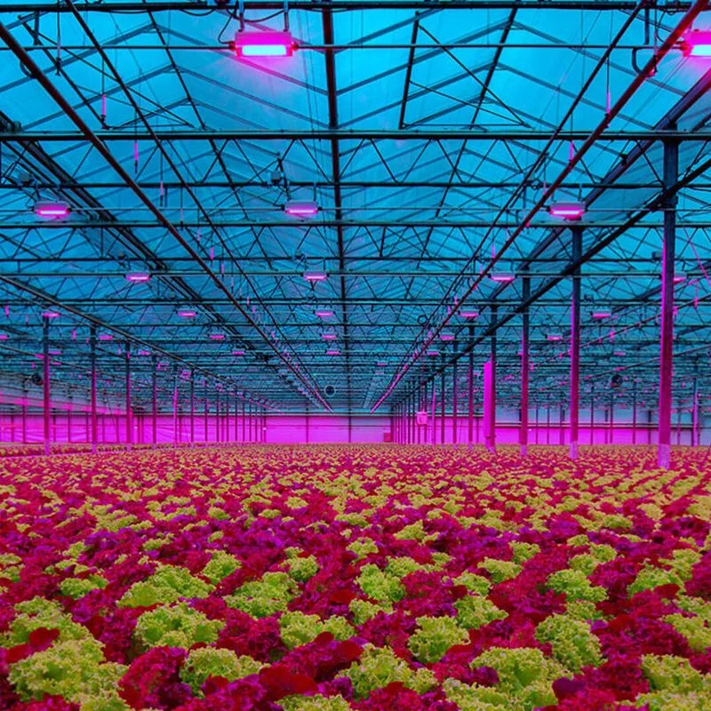 Светодиодная лампа освещения садоводства светодиодная осветительные приборы для выращивания цветочного участка Для Hydropnics/PC Glass Greenhouse