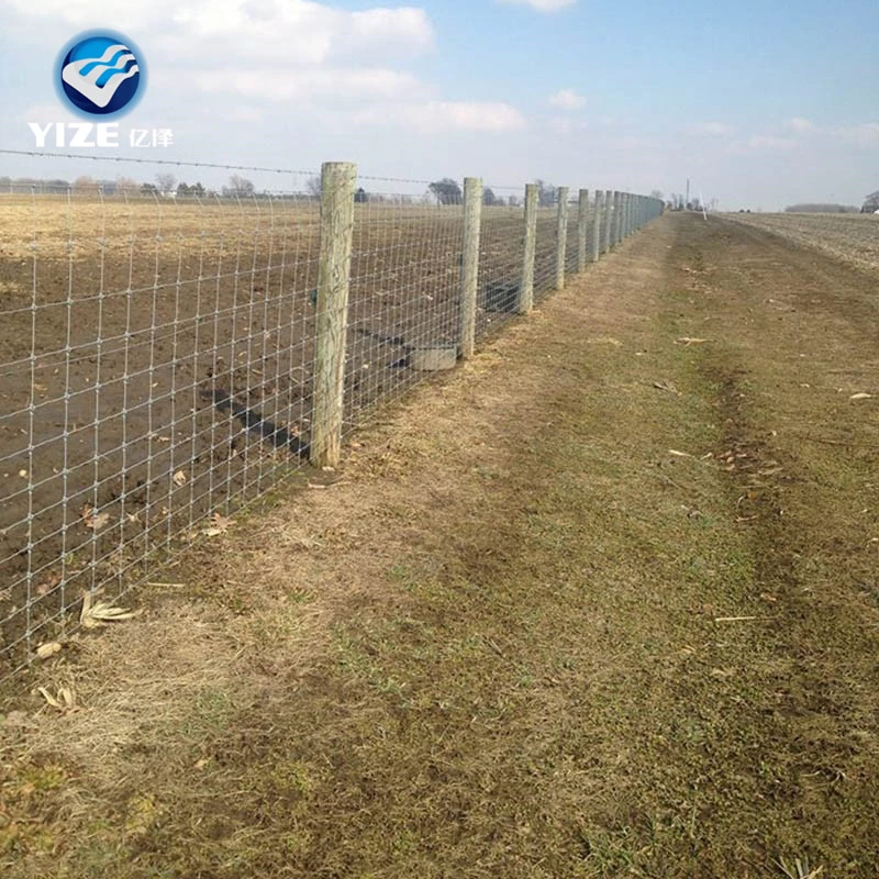 4 pieds 330FT 1.5mm-2.5mm joint charnière à verrouillage serré à anneau fixe Barrière de sécurité métallique galvanisée de la ferme