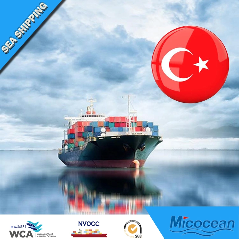 Professional Sea Freight Forwarder FCL/ LCL Sea Shipping From China to Turkey