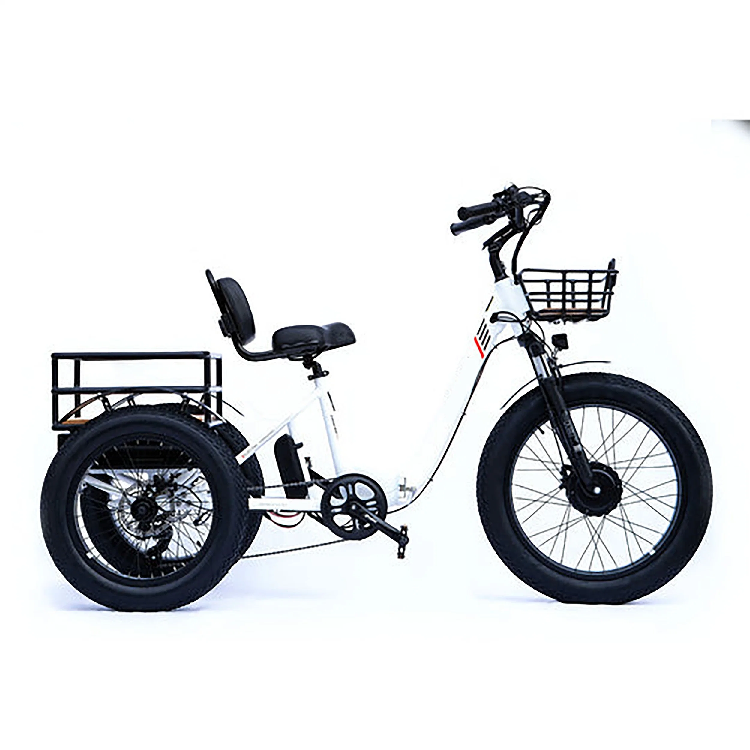 OEM ODM 20 Inch Rear Drive Cargo Electric Tricycle 3 Wheel Electric Lithium Battery E Trike