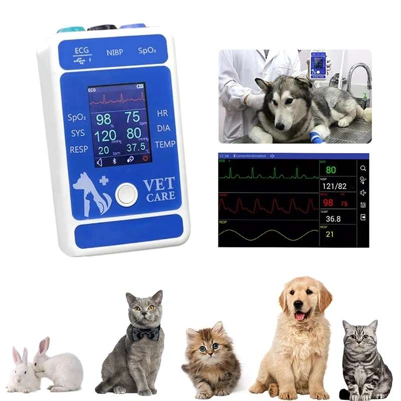 Cheap Veterinary Vital Sign Monitor Animal Use Portable Vet Monitor