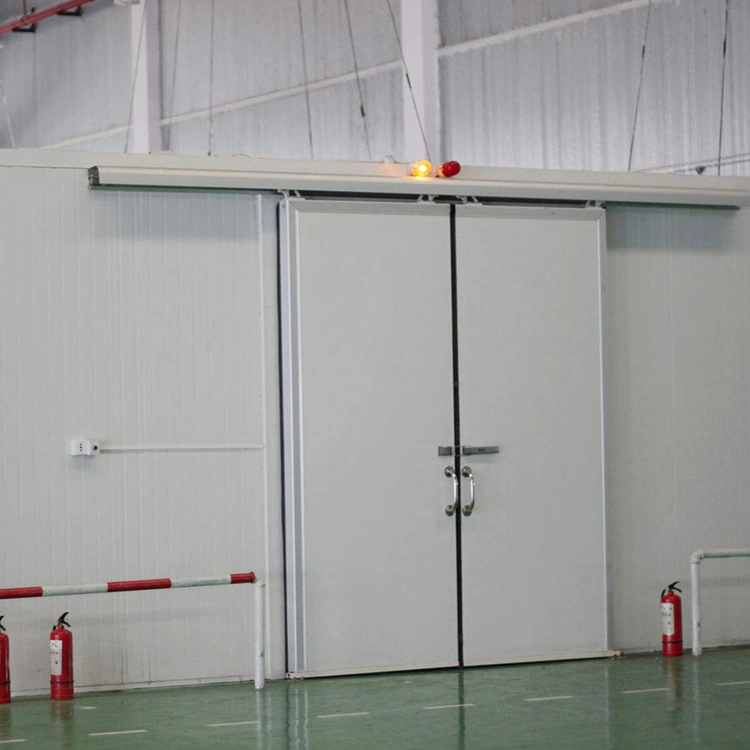 Thermal Insulated Metal Single or Double Leaf Cold Room Sliding Door for Cooler Room