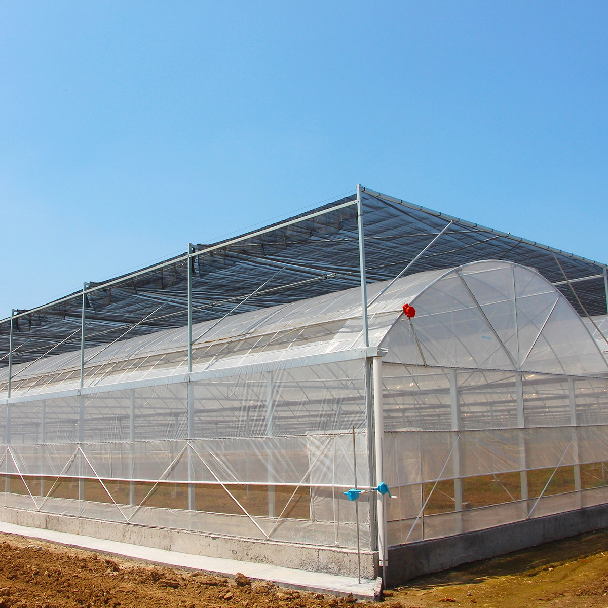 Galvanized Steel Frame Single Span PE Film Greenhouse for Agriculture Low Cost Tunnel Greenhouse for Flowers Plant