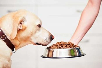 Простая подача свежего здорового Сухая ПЭТ собака продовольствия продовольственная Cat пищу с помощью ПЭТ упакованных мешок