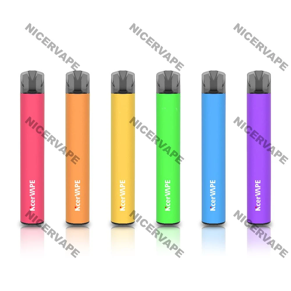 Nicervape 600 Puffs China Shenzhen Direct Supplier Wholesale/Supplier Disposable/Chargeable Vape