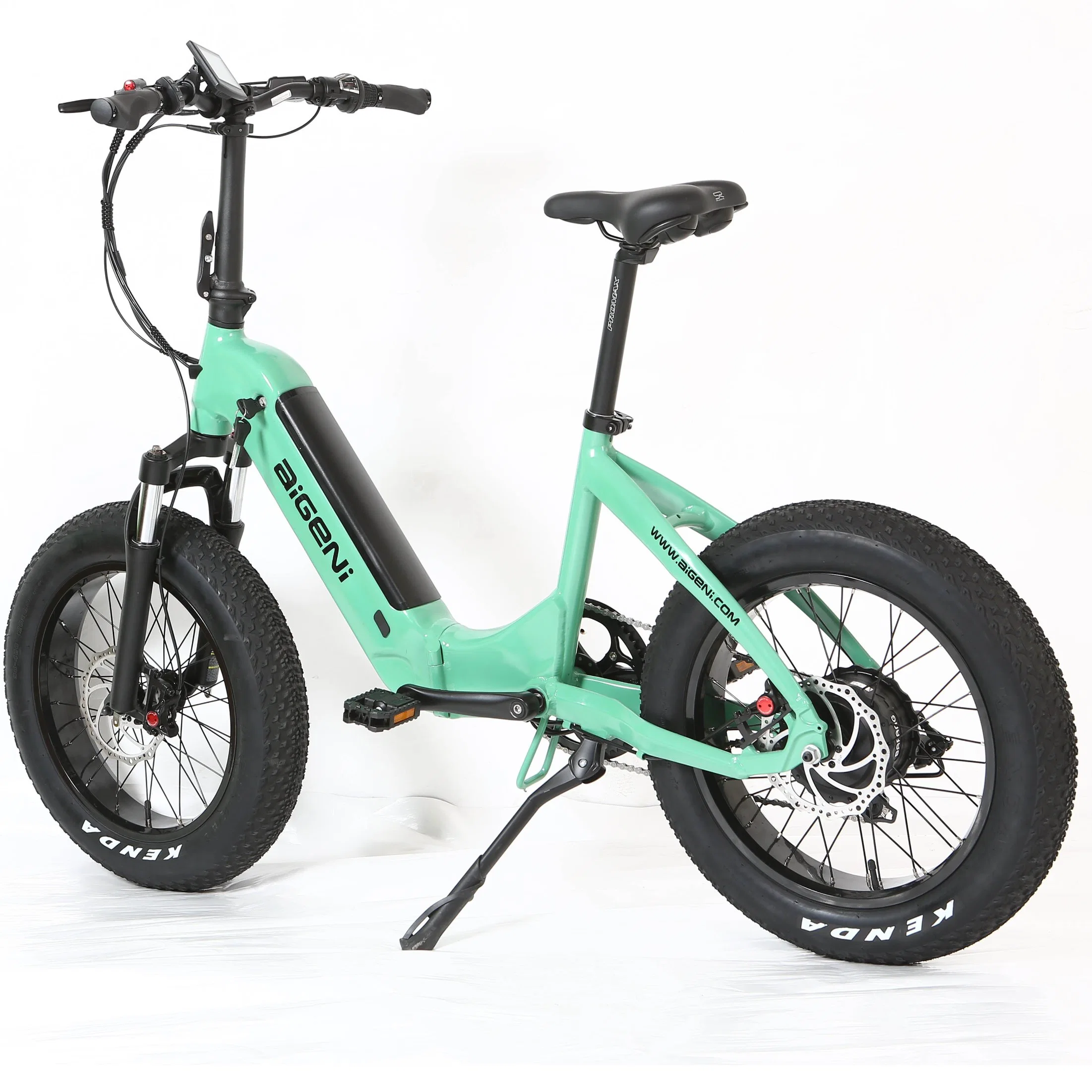 20'' Fat Tire Mate Verde Mini bicicleta eléctrica plegable para Venta AG2021