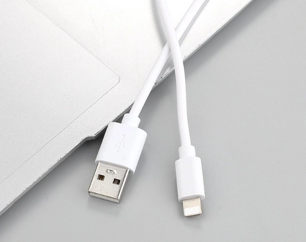 1m 3A USB a to for iPhone Lightning iPad Air Pods Charging Cable White