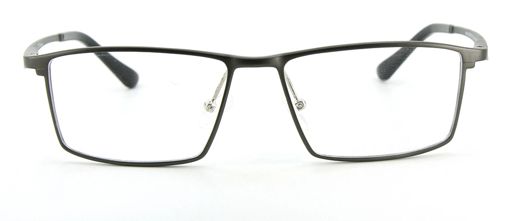 New Design Product Wholesale/Supplier Fashion Aluminum Optical Eyewear Frame