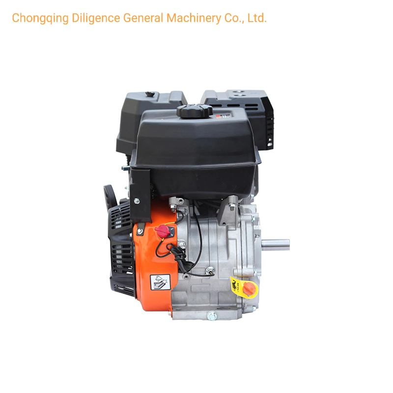 15HP 14HP Small Portable 420ml Four Stroke Gasoline Engine with CE Certificate BS420s