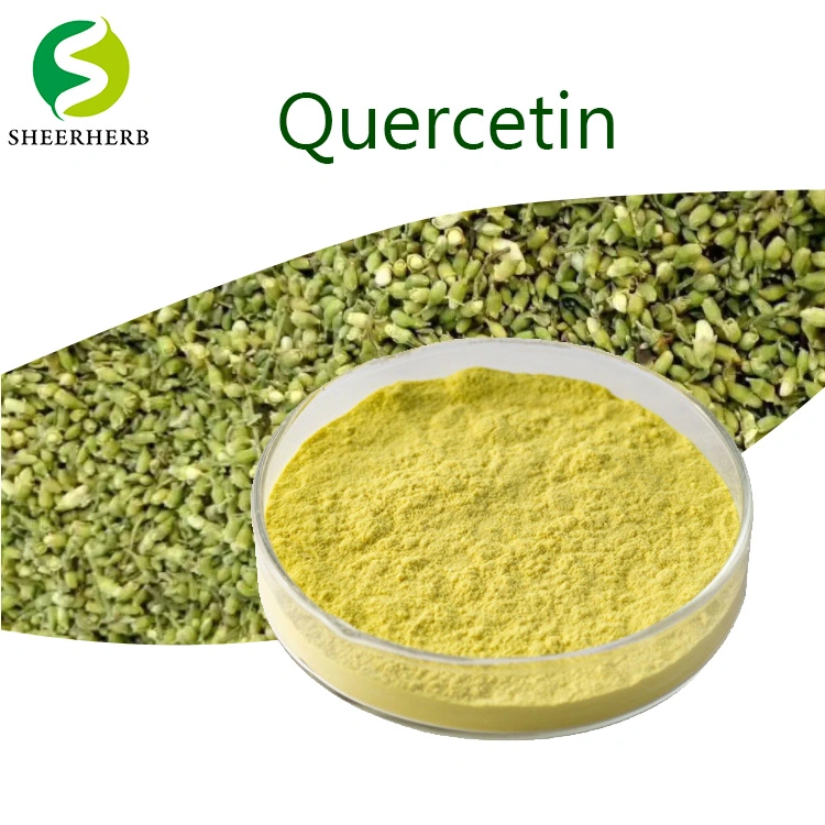 100% Pure Natural Organic Sophora Japonica Extract 98% Quercetin Powder CAS 117-39-5 Quercetin Phytosome Powder