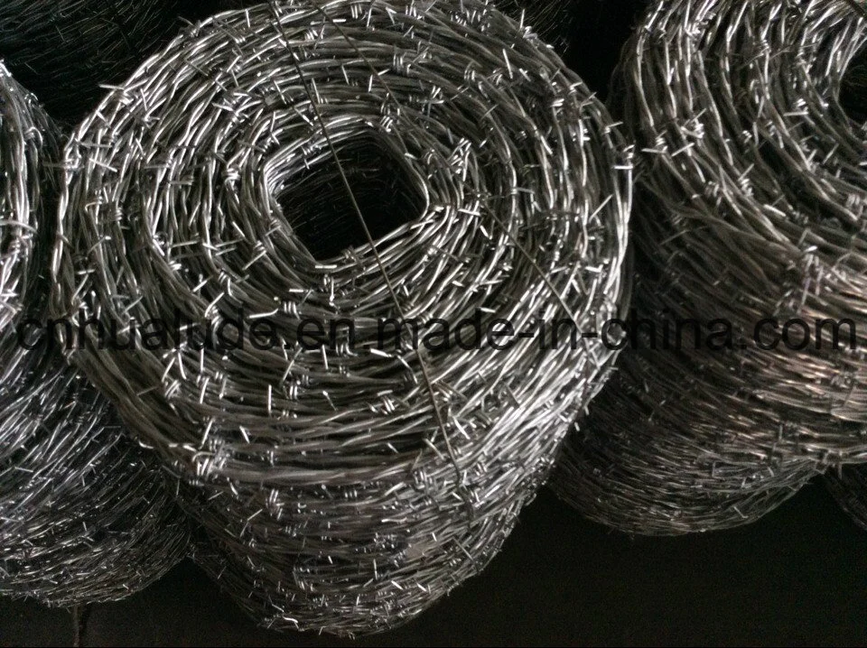 Hot-Dipped Galvanized Barbed Wire for Airport Prison Security Fence