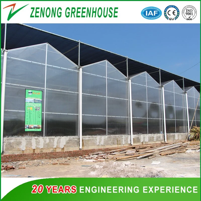 Customized High Quality Gutter Connected Polycarbonate Green House for Sale