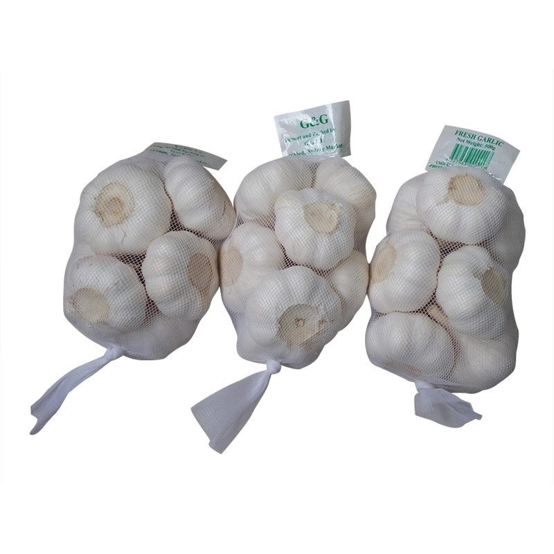 China Supply Organic White Garlic with Mesh Bag