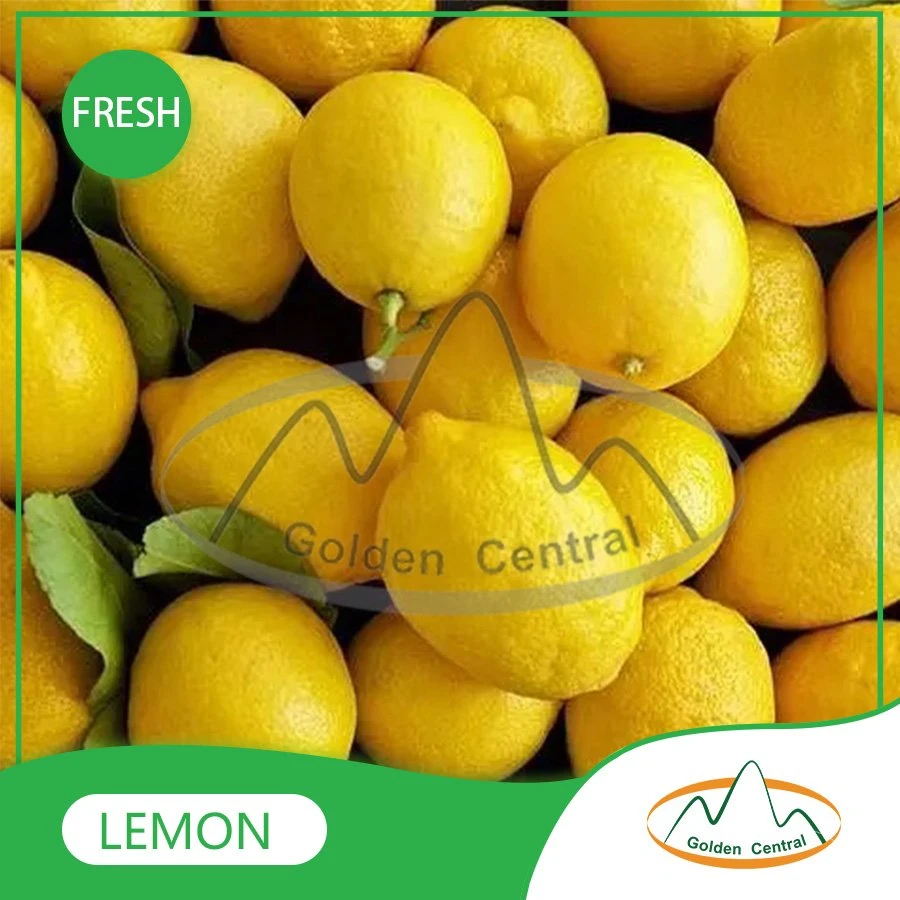 Wholese High quality/High cost performance  New Harvest Fresh Seedless Lime Lemon