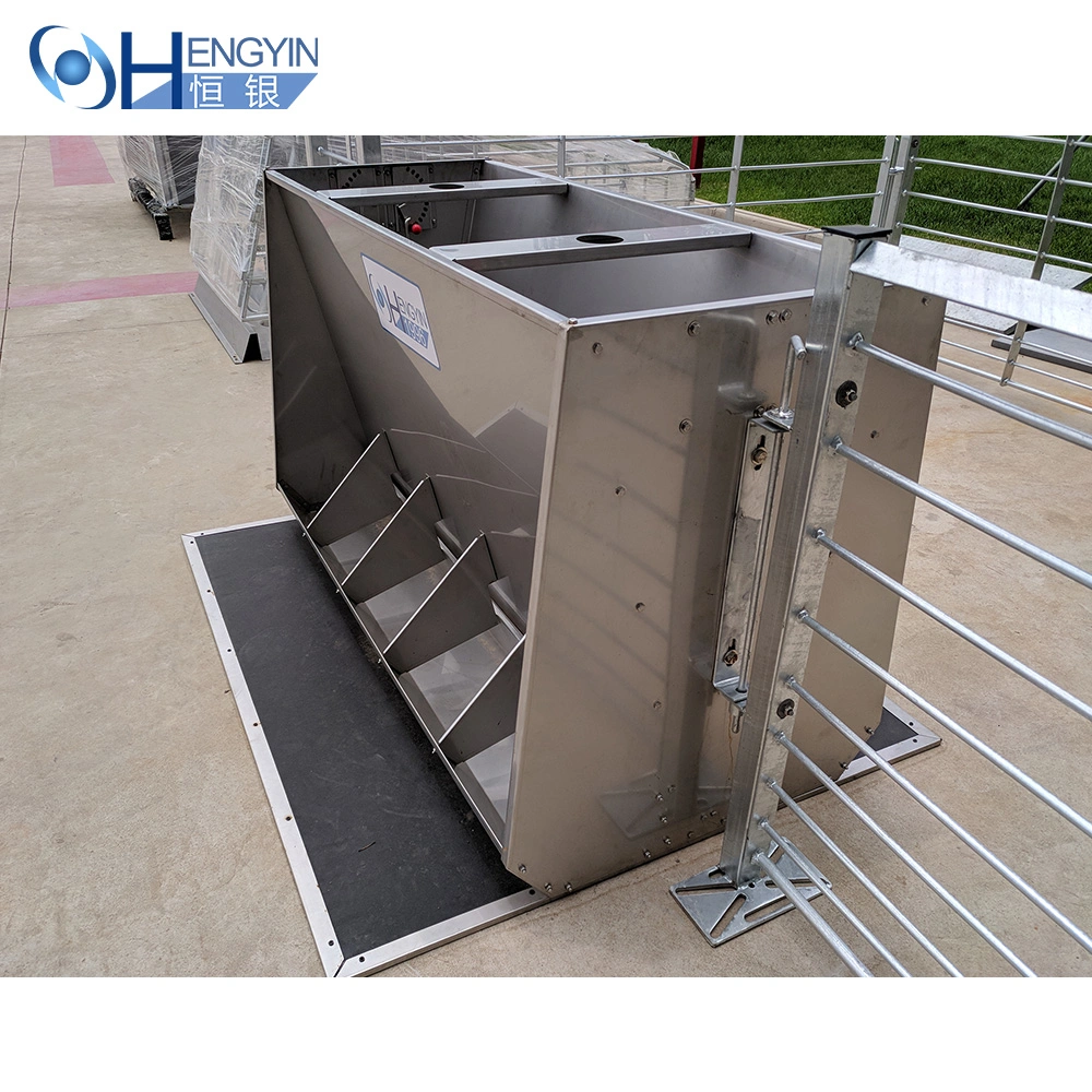 Automatic Pig Feeding Trough for Pigs