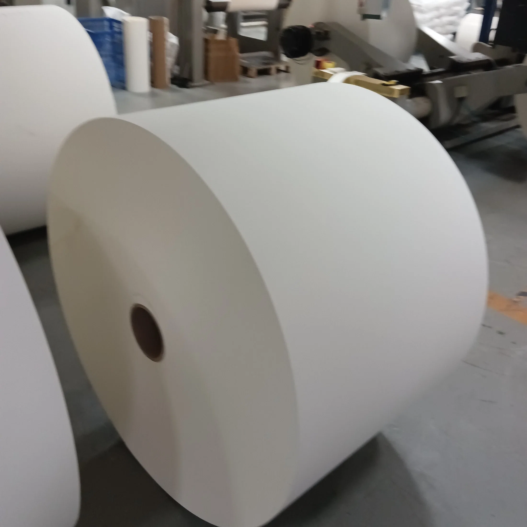 Food Grade PE Coated Paper Cup Roll White Cardboard in Roll for Sale