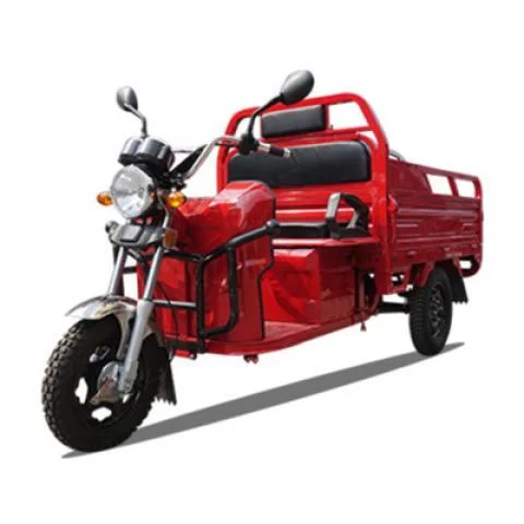 Big Space Huge Loading Ability 2000W Cargo Express Delivery Farm Freight Transport Three Wheels Electric Pickup Truck Tricycles