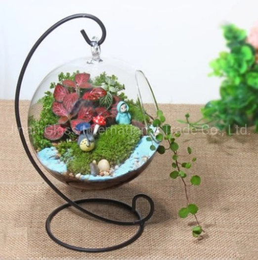 Micro Landscape Iron Frame Glasvase Transparent Hängende Runde Flasche Moss DIY Vase Creative Home Crafts