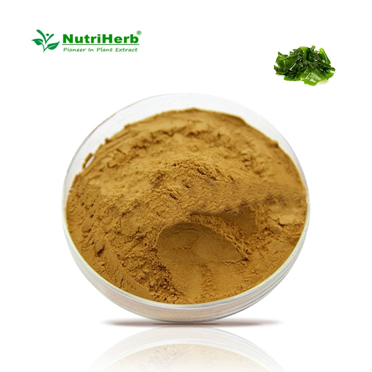 Bulk Supply High quality/High cost performance  Sargassum Seaweed Extract, Sea Kelp Extract Powder