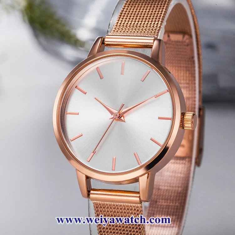 Mesh Alloy Strap Ladies Quartz Wist Watches, Lady Watch (WY-17035C)