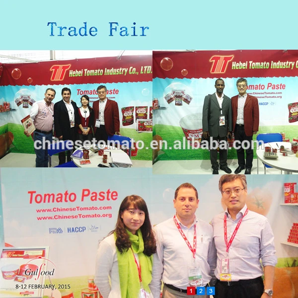 in Chinese Factory Double Concentrate Tomato Paste Sachet Tomato Paste