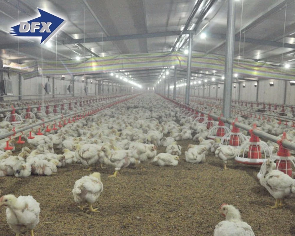 Vorgefertigte Automatische Stahlkonstruktion Geflügelfarm Gebäude Hühnerstall Broiler Hausentwurf