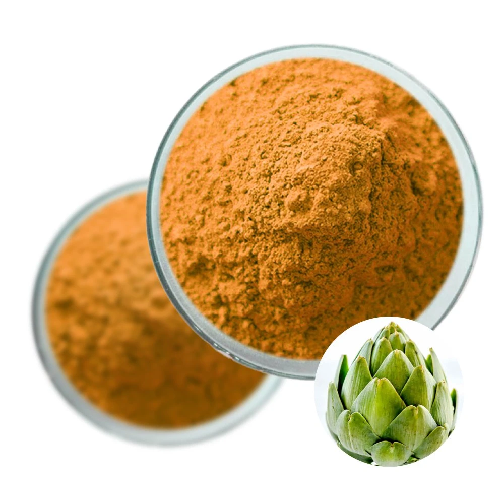 Plant Extract Cynarin Organic Artichoke Extract Powder for Food Supplements