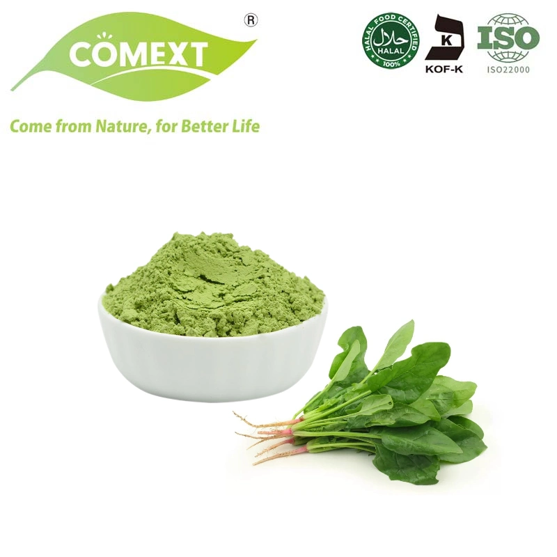 Comext Food Grade Natural Spinach Extract Vegetable Spinach Extract Powder