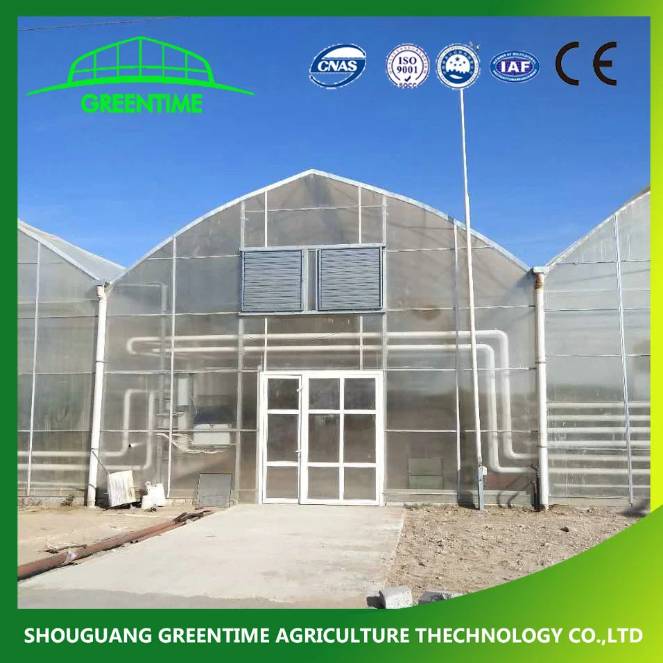 Strong Structure Galvanized Venlo Greenhouse with Cooling/Hydroponic System