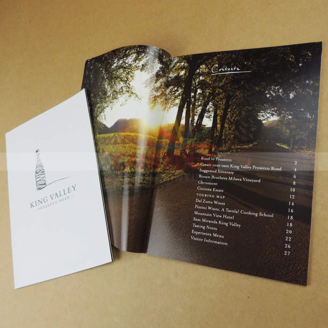 Cost-Effective Catalog Printing Booklet Brochure Printing