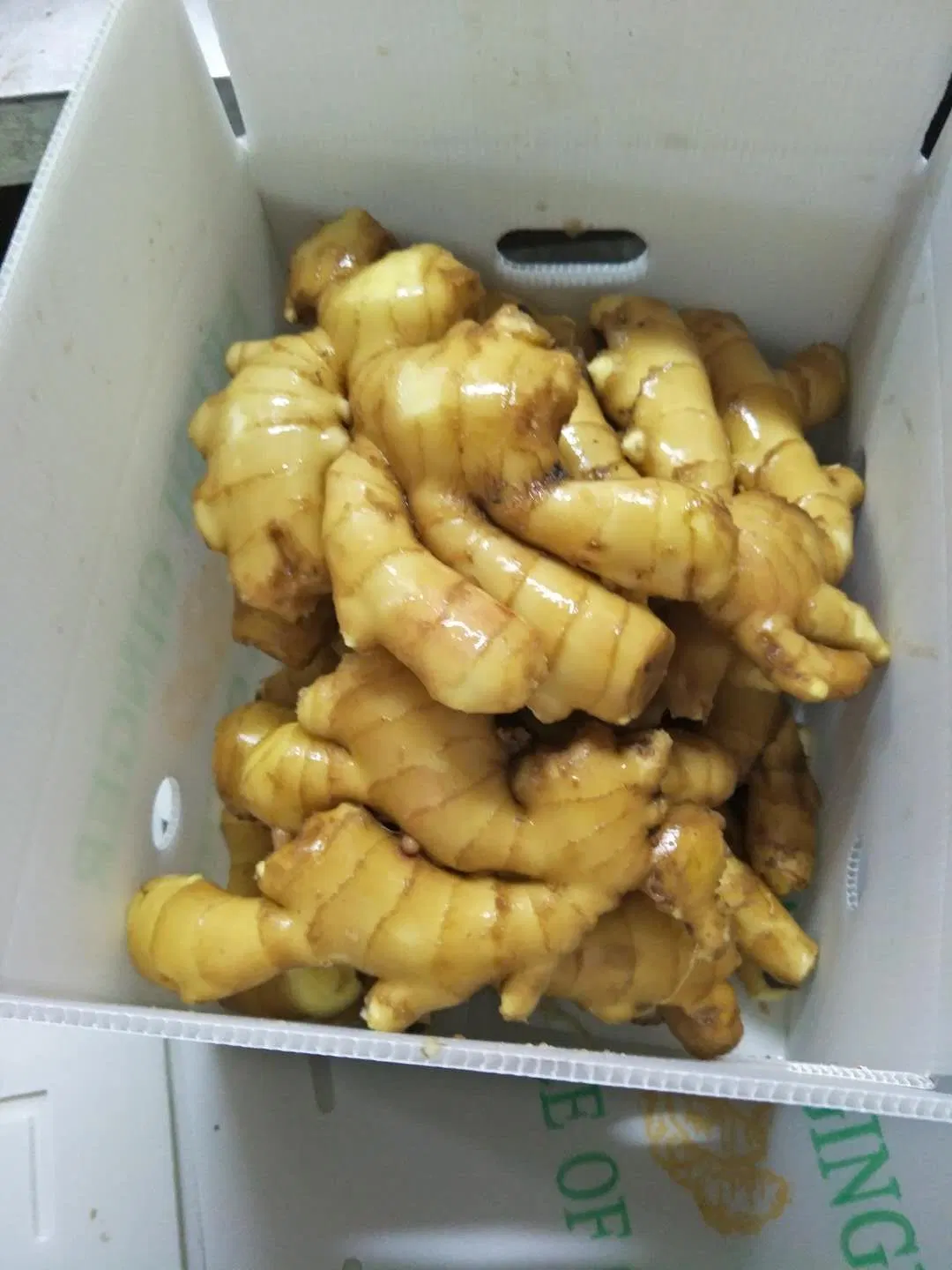 Fresh Ginger / Air Dried Ginger-- From Laiwu Manhing