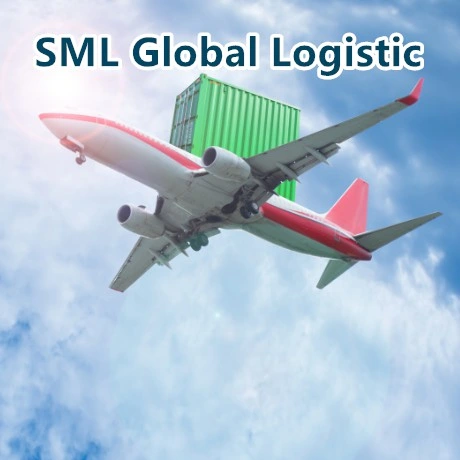 Professional Air Freight Forwarder Cargo Shipping Logistics DHL FedEx TNT UPS Express Courier