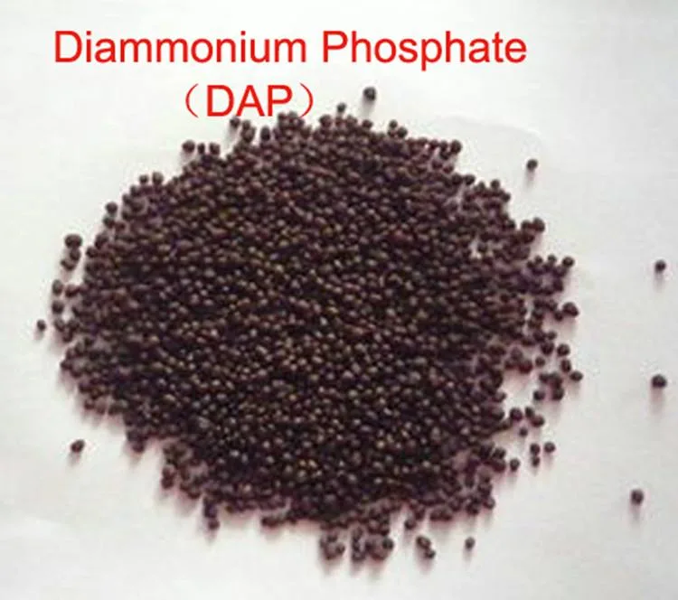 DAP (Diammonium Phosphat) Düngemittel npk Düngemittel 18-46-0