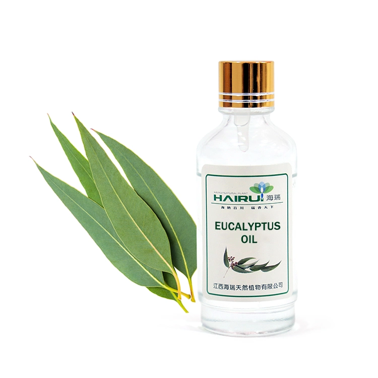 Famous Brand Refreshing Eucalyptus Oil Uses Synthetic Flavour &amp; Fragrance Type Eucalyptus Oil