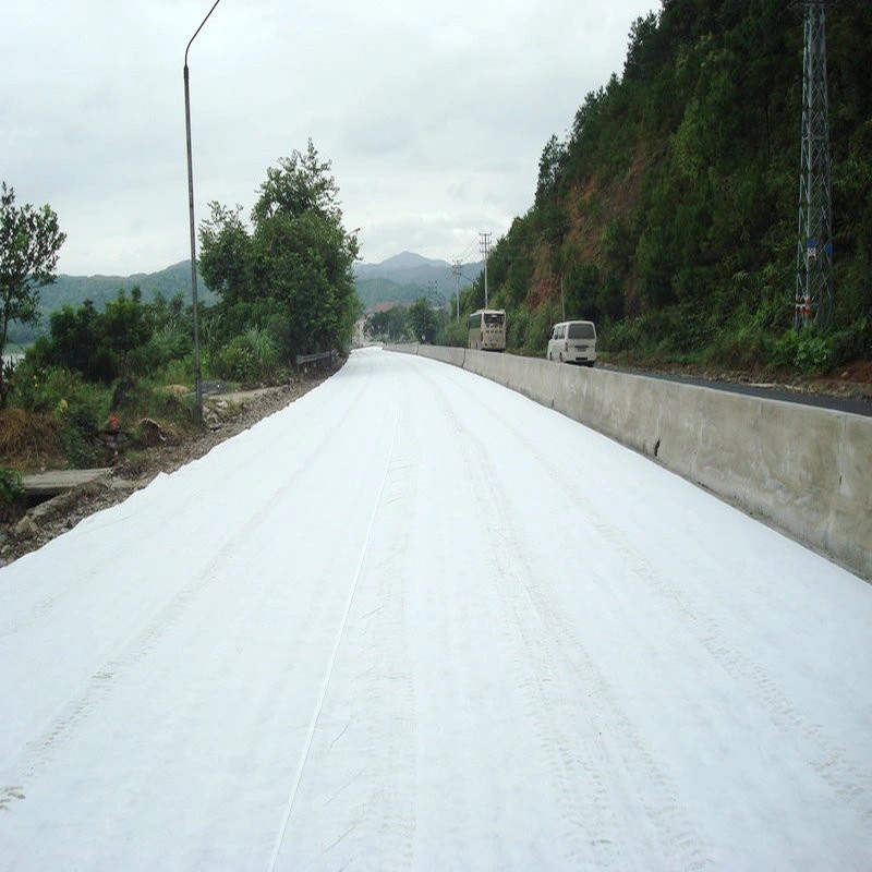 نسيج PP للحيوانات الأليفة غير منسوجة Geotextile لحماية المنحدرات