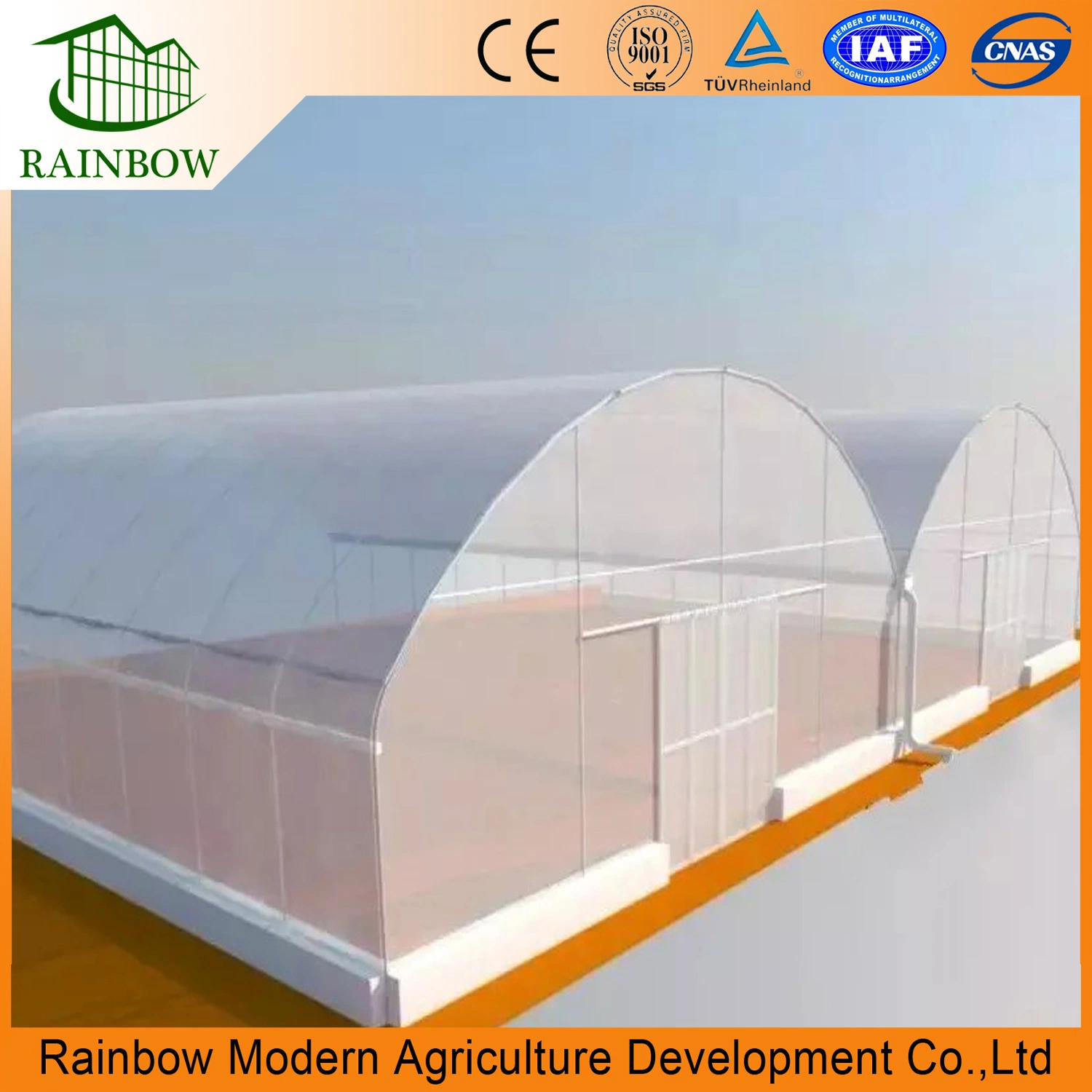 Multispan Poly Greenhouse with Hydroponics