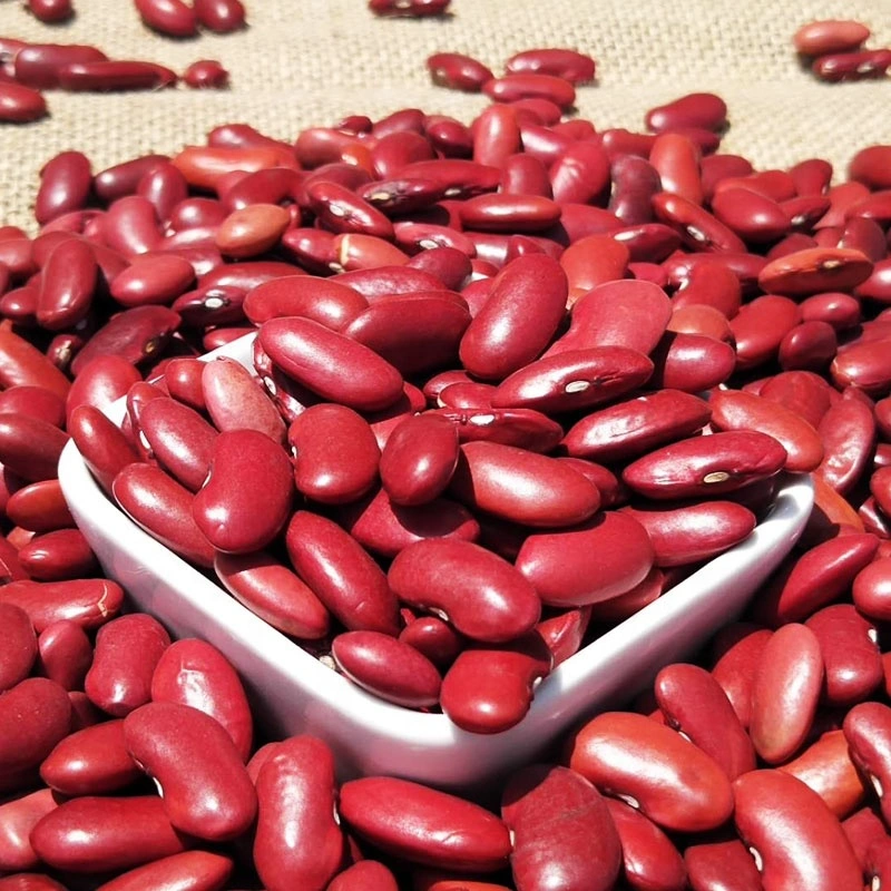 New Crop Red Kidney Beans