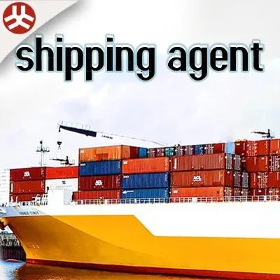 Agente profesional servicio de transporte marítimo desde China a Estados Unidos el envío