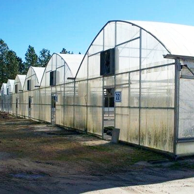 Huijing Hot Sale Multi-Span Plastic Greenhouse for Hydroponic Strawberries