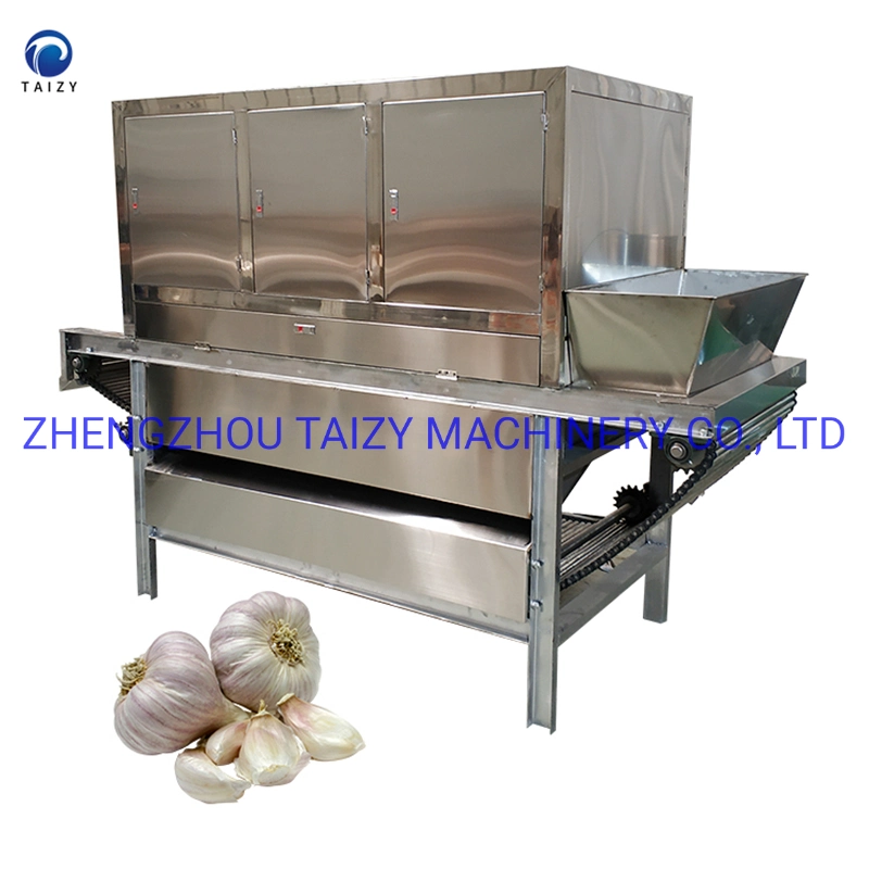 Commercial Garlic Peeling Machine From Elva