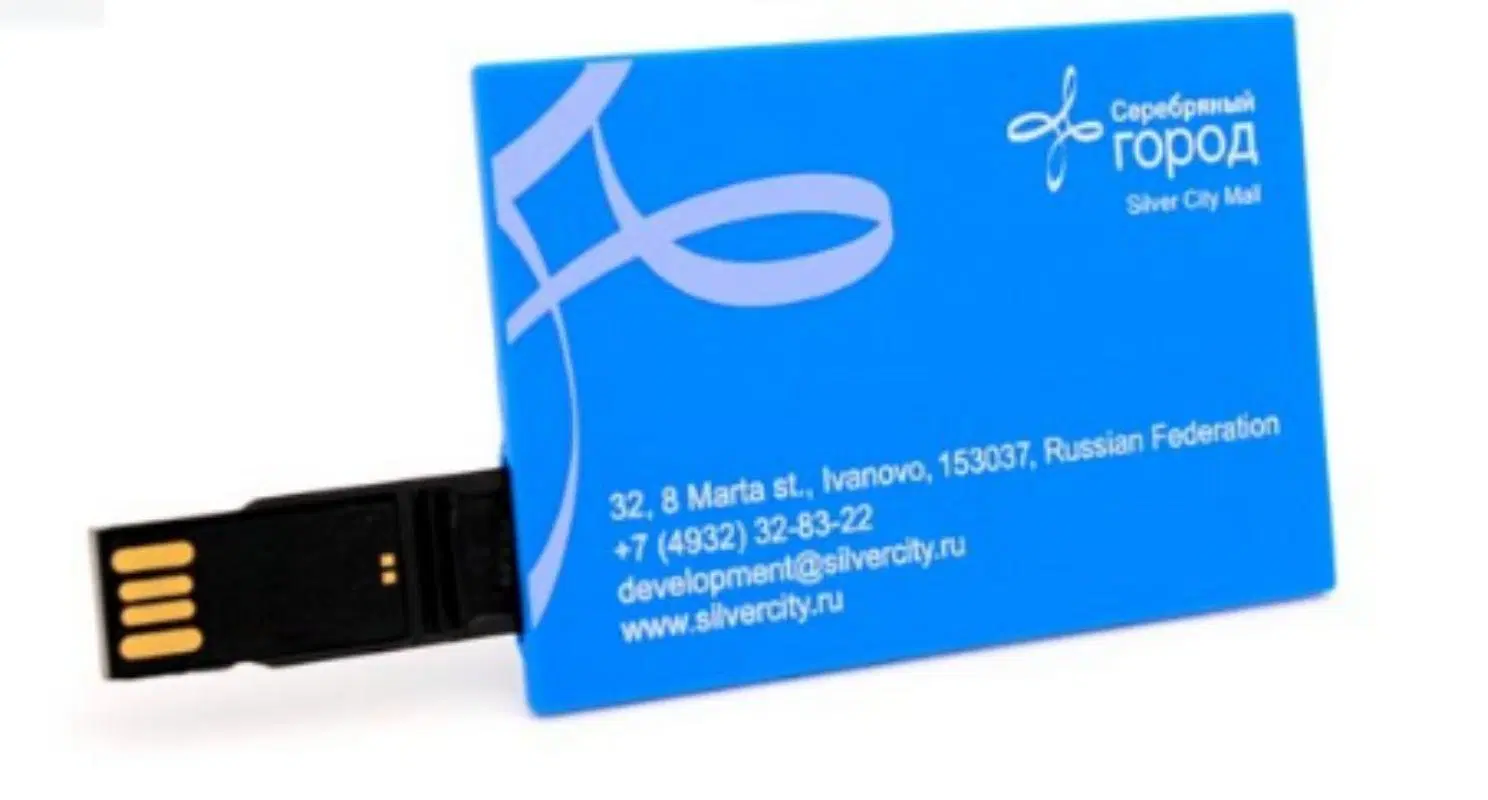 Personnalisé 2 Go / 4 Go / 8 Go de mémoire USB de carte Cerdit Bâtonnets à bas prix