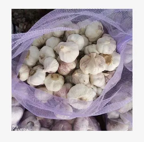 China Loose Bag 10kg/20kg Normal White Garlic