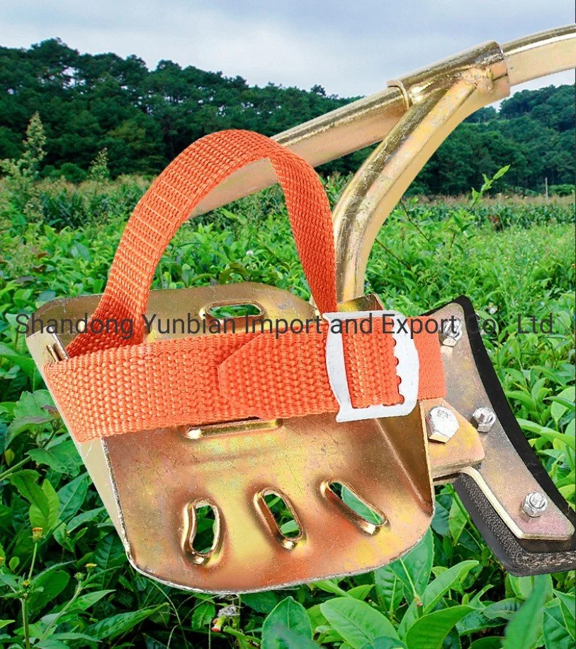 CE Standard Safety Harness Half Body Roof Harness Safety Belt Personal Protective