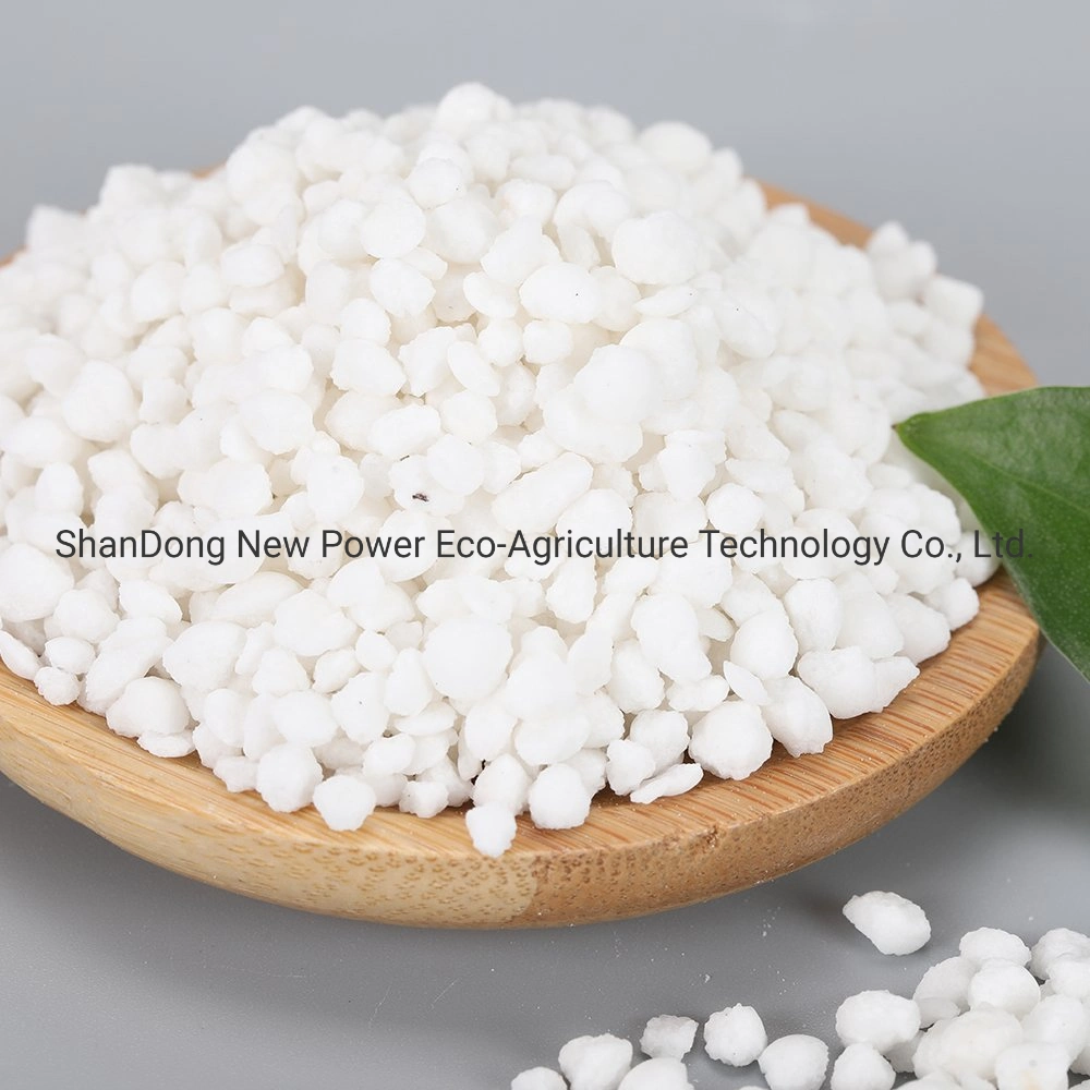 Amonium Sulfate Granular Fertilizer Ammonium Sulphate in Caprolactam Grade