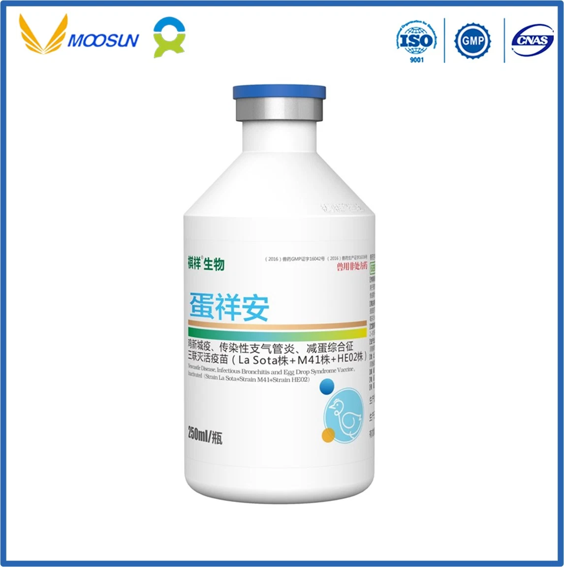 Veterinary Use Vaccine with GMP Avian Pasteurella Multocida Vaccine, Inactivated (Strain 1502) for Poultry