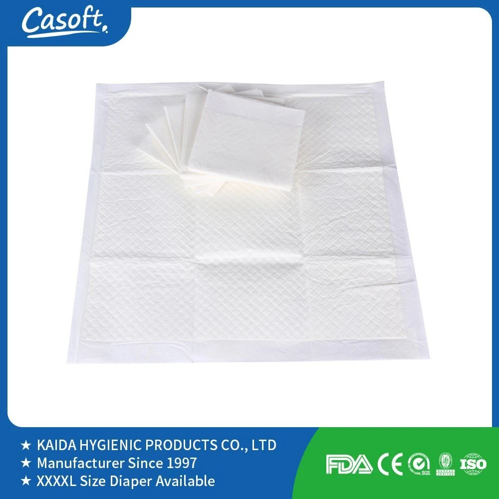 Casoft OEM / ODM Cheap PEE Pad 15g Sap 4 Layer 60X60 Underpad Dog Pad Pet Training Products in Philippines Russia Korea Us Malaysia Peru Chile EU China