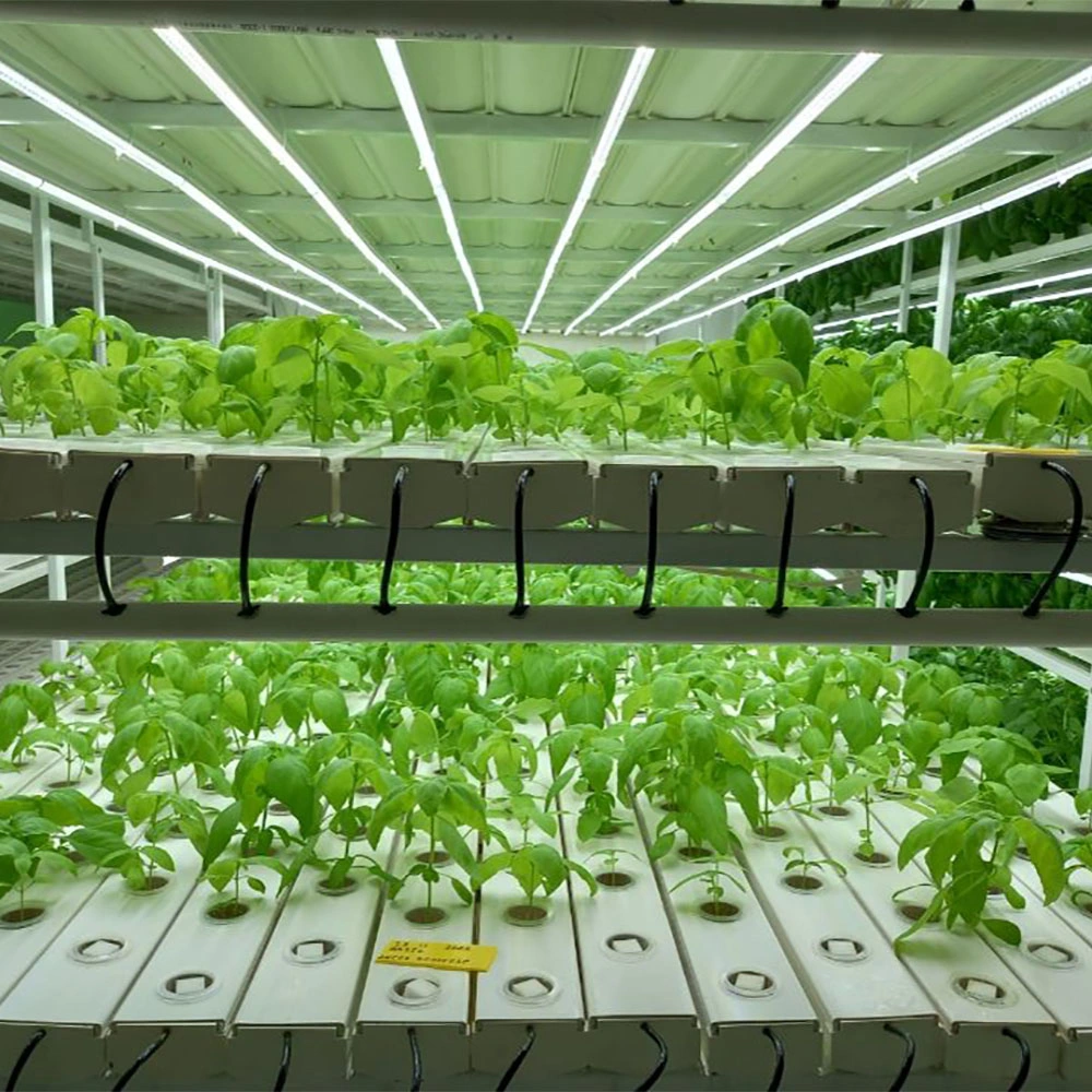 En el interior de la sembradora inteligente vegetal Pot Jardín de Hierbas de efecto invernadero Hidroponía de la luz de crecer los sistemas de cultivo hidropónico sistema