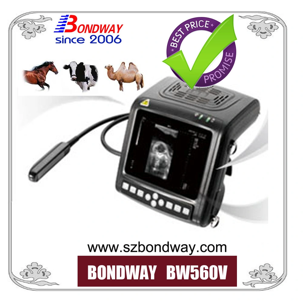 Digital Portable Veterinary Ultrsound Scanner, for Veterinary Service Center, Pet Care Center, Ultrasound System, Medical Device, Ultrasound Machine