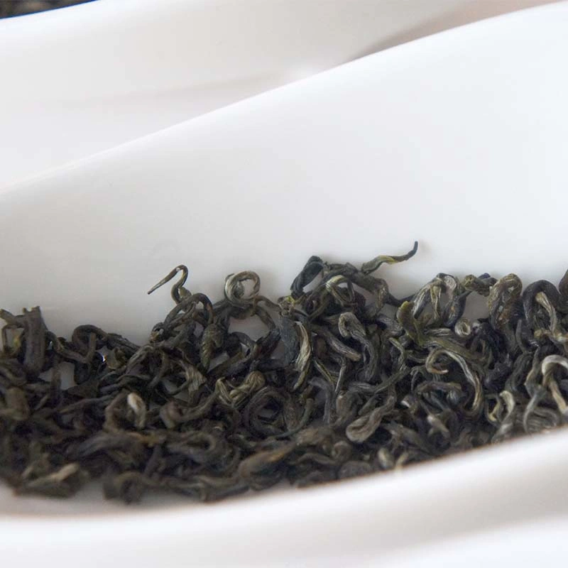 Coleção Fuding Duyun Maojian Green Tea 2023 melhor sabor Guizhou Duyun Maojian Embalagem em bloco origem China